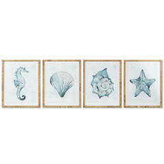 Quadro Home ESPRIT Mediterraneo Conchiglia 55 x 2,5 x 70 cm (4 Unità)