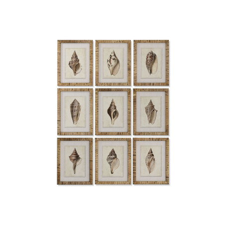 Quadro Home ESPRIT Mediterraneo Conchiglia 30 x 2,5 x 40 cm (9 Unità)