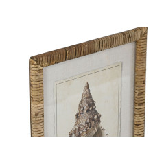 Quadro Home ESPRIT Mediterraneo Conchiglia 30 x 2,5 x 40 cm (9 Unità)