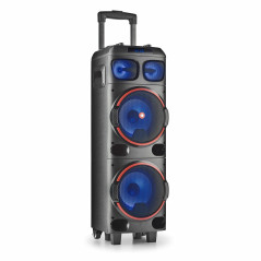 Altoparlanti NGS WILD DUB 1 Nero 300 W 300W