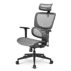 Sedia da Ufficio Sharkoon Officepal C30M Nero Grigio