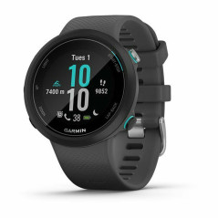 Orologi Sportivi GARMIN 010-02247-10 1,04" Nero Grigio Lavagna